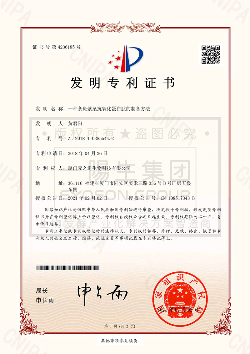 一种条斑紫菜抗氧化卵白肽的制备要领
