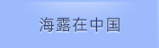 Z6人生就是博在中国