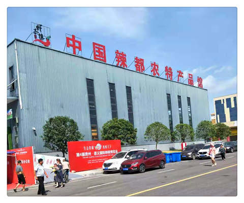 1-1ZR31046491R Z6·人生就是博(中国区)官方网站
