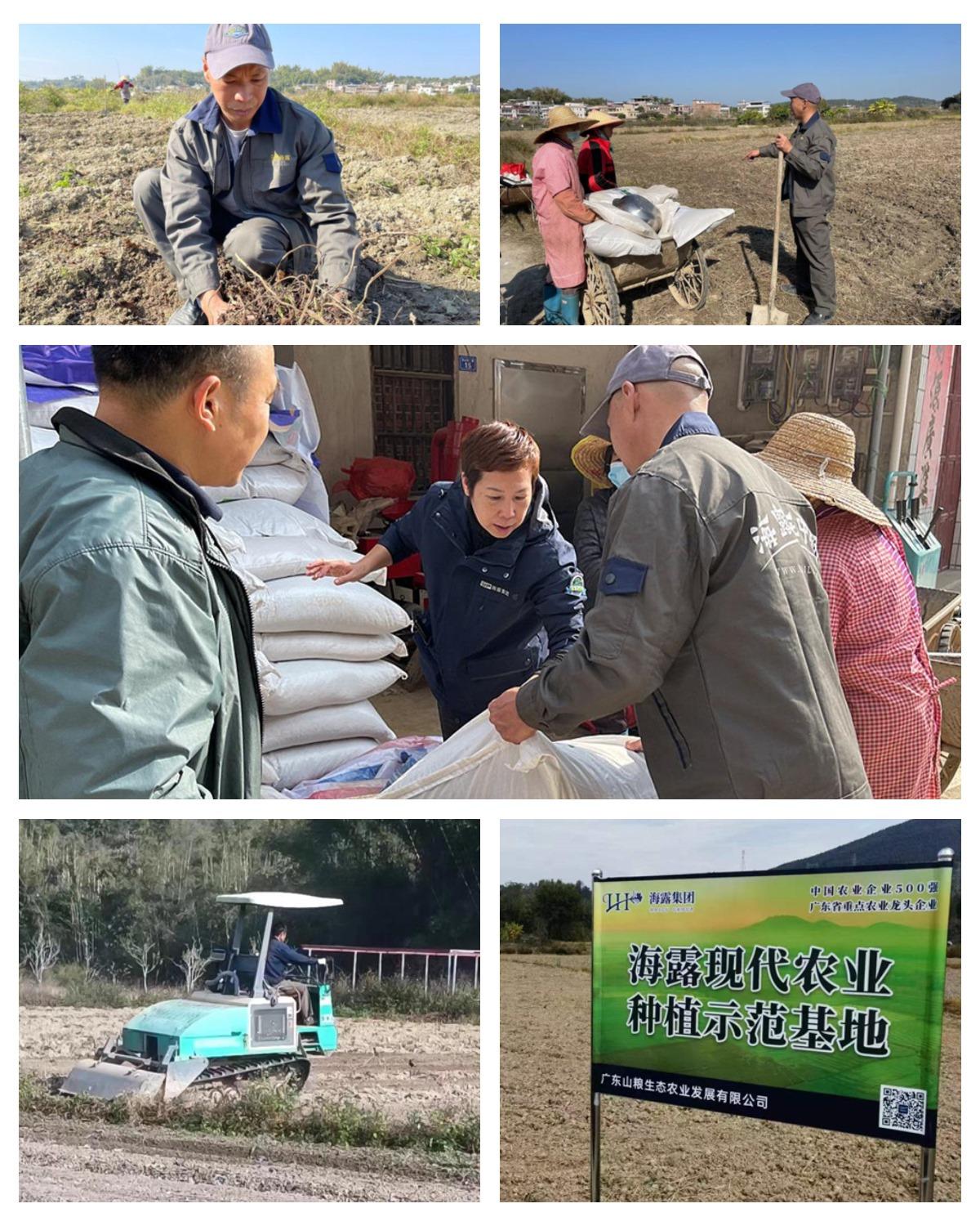 1-230110101S62U Z6·人生就是博(中国区)官方网站