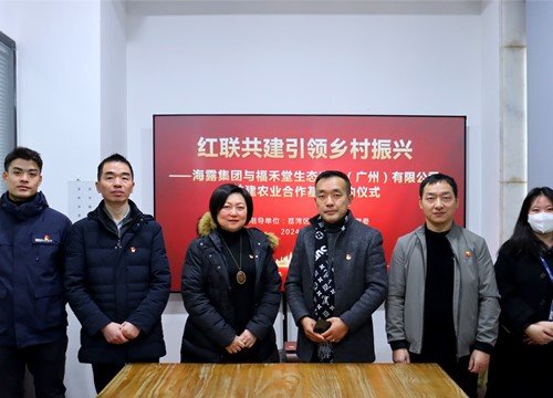 红联共建引领村落振兴，党建促业务深度融合