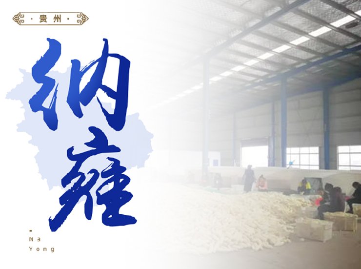 1-24020QZZ2438 Z6·人生就是博(中国区)官方网站