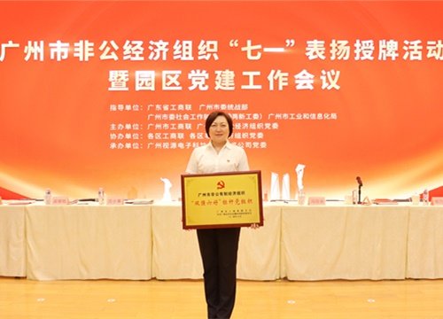 标杆引领，荣誉升级！集团党支部荣膺广州市非公有造经济组织“双强六好”标