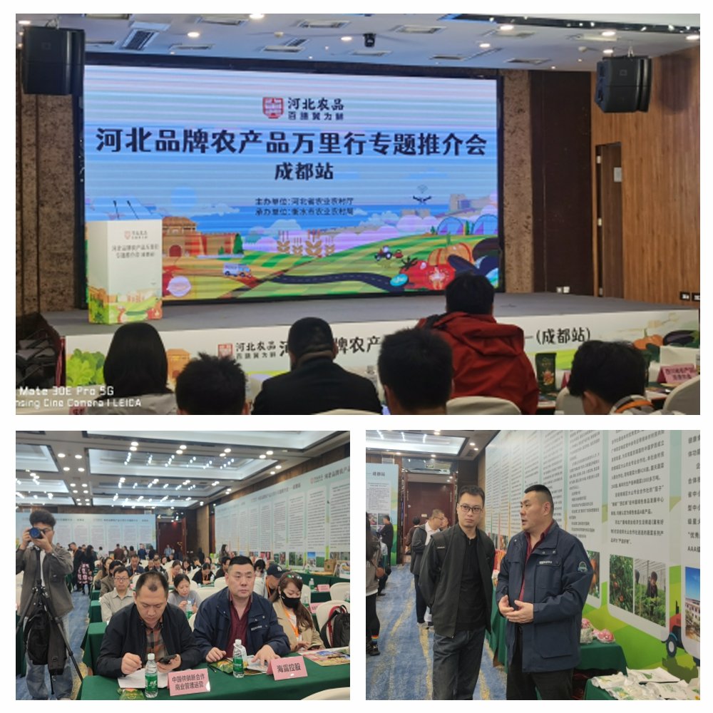 1-24102416292DM Z6·人生就是博(中国区)官方网站
