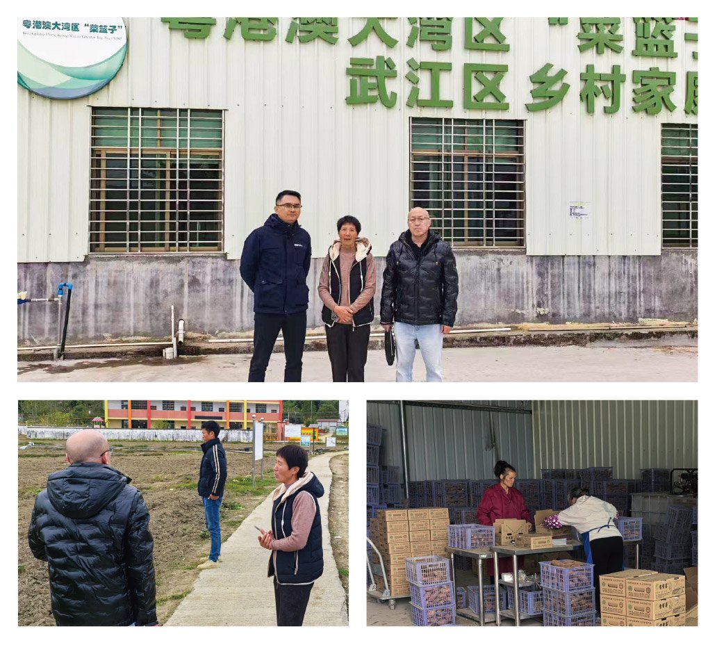 1-2412240942025K Z6·人生就是博(中国区)官方网站