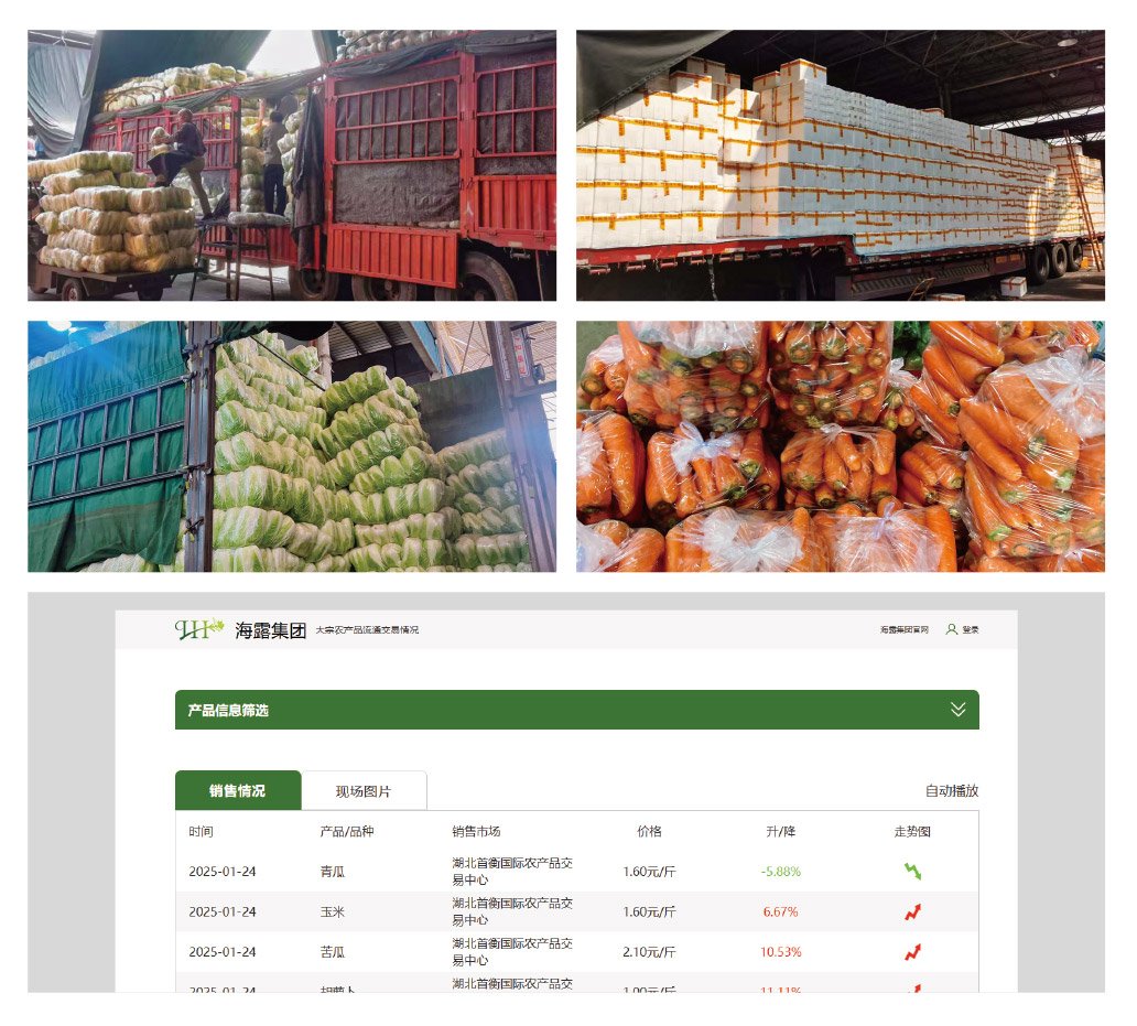 1-2501241Q34IG Z6·人生就是博(中国区)官方网站