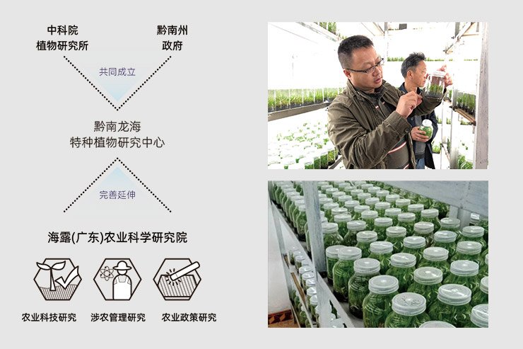 1-250210163344T0 Z6·人生就是博(中国区)官方网站