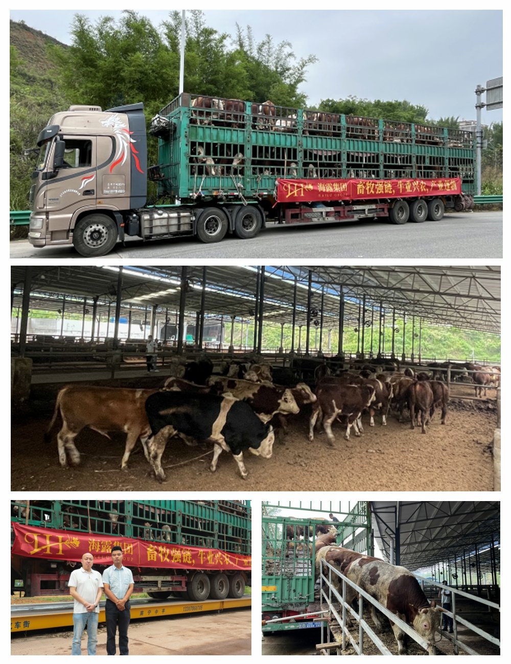 1-25052P9411LK Z6·人生就是博(中国区)官方网站
