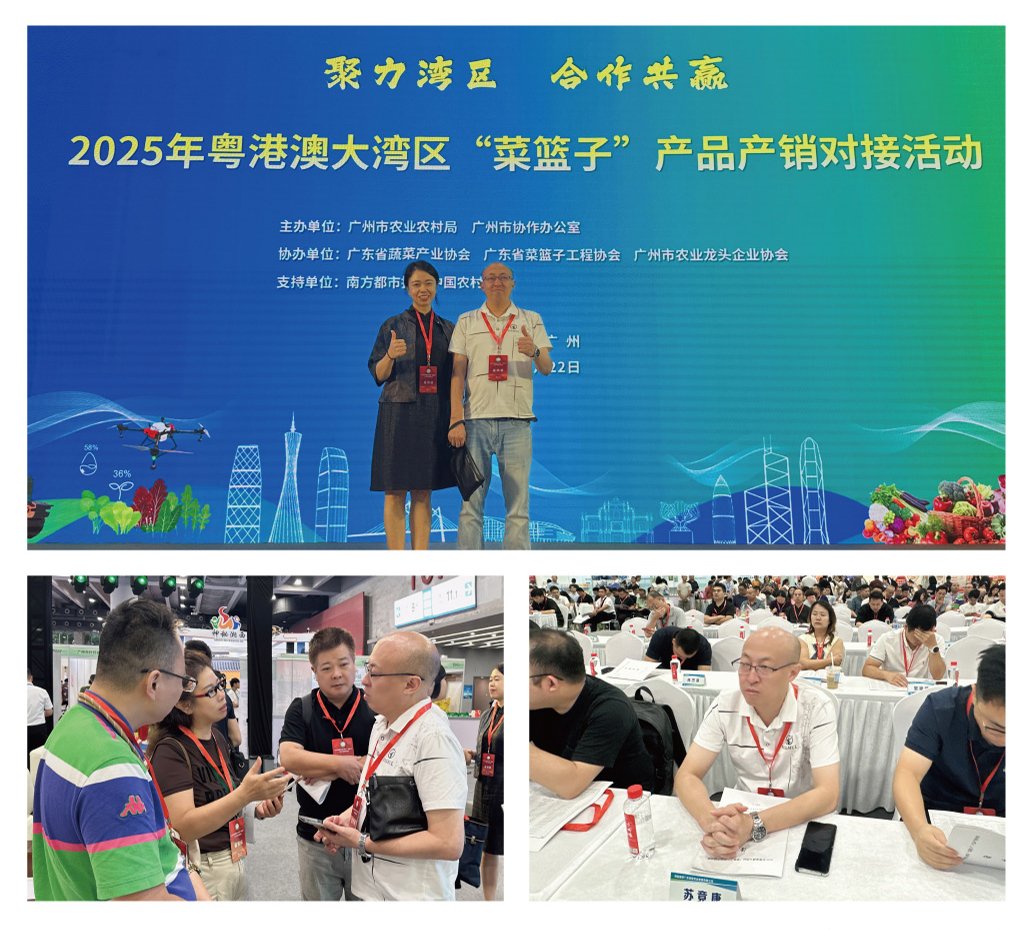 1-250R611033C27 Z6·人生就是博(中国区)官方网站